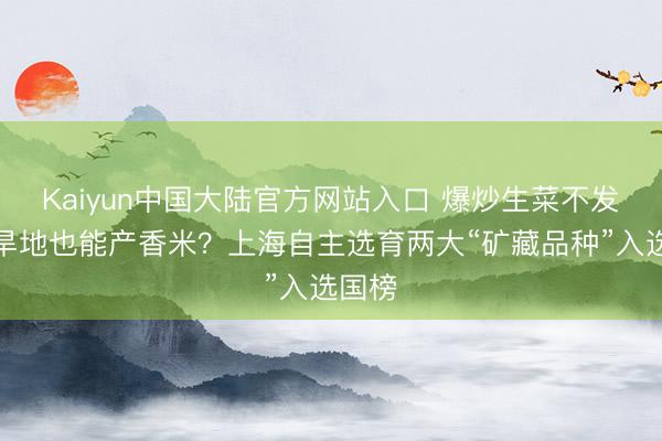 Kaiyun中国大陆官方网站入口 爆炒生菜不发黄？旱地也能产香米？上海自主选育两大“矿藏品种”入选国榜