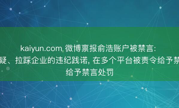 kaiyun.com 微博禀报俞浩账户被禁言: 发布质疑、拉踩企业的违纪践诺， 在多个平台被责令给予禁言处罚